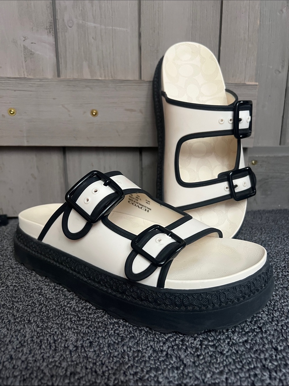 Coach Lainey Platform Sandals
